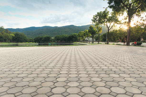 Best Residential Driveway Paver Services  in Durant, MS