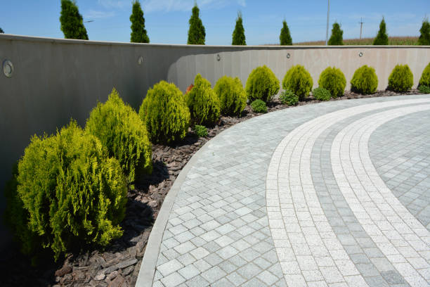 Best Custom Driveway Pavers  in Durant, MS